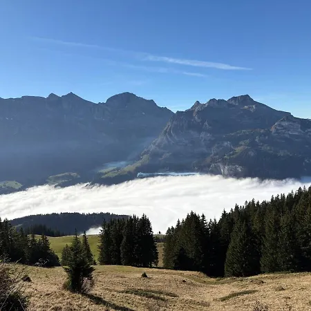Fantastic View In Front Of Slopes! * Engelberg
