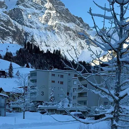 Fantastic View In Front Of Slopes!