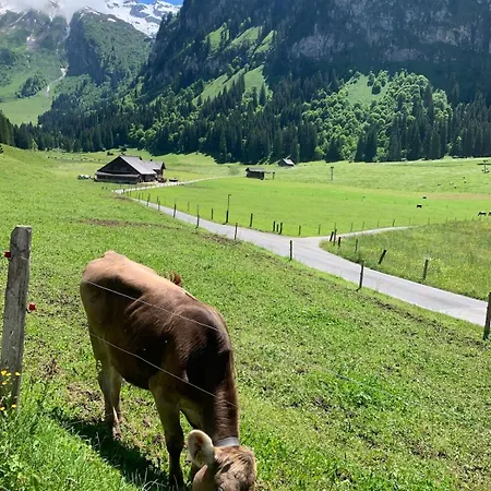 Fantastic View In Front Of Slopes!