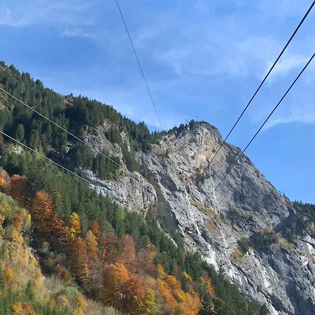 Fantastic View In Front Of Slopes! Engelberg